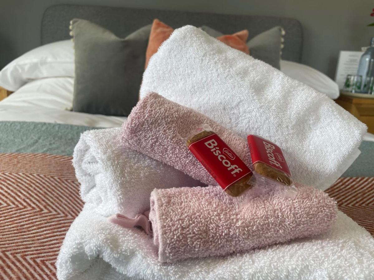 Hotel St Elmo House Dartmouth Zewnętrze zdjęcie
